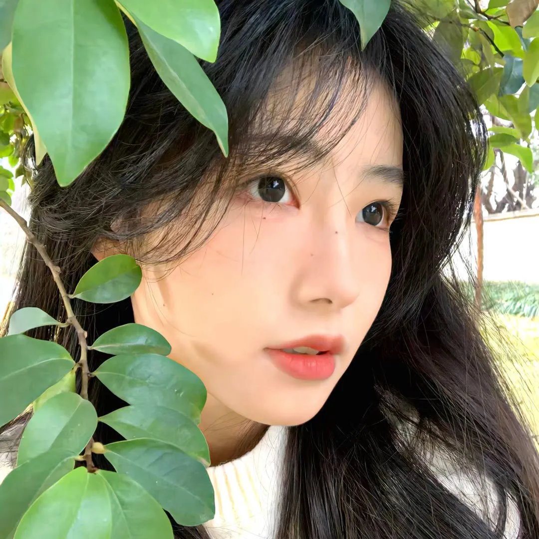 美味恋歌